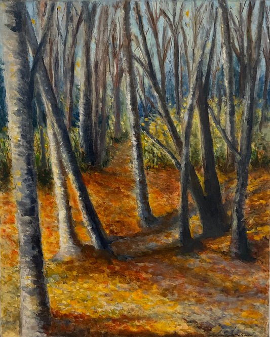 LA FORÊT MON REFUGE